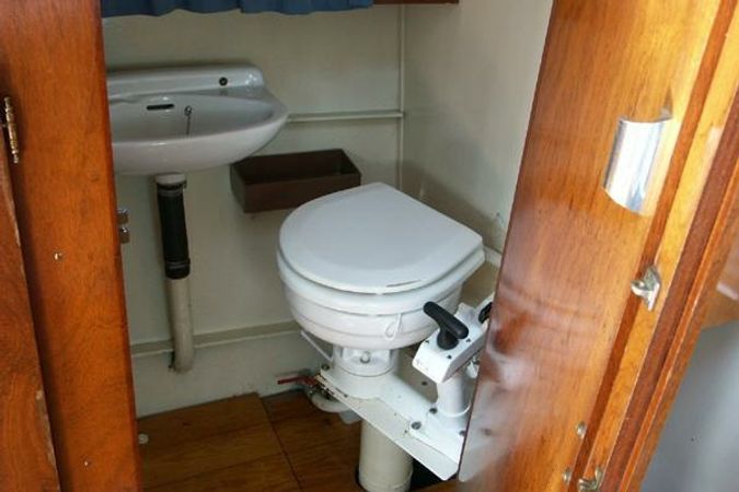 Doerak 950 | Palomino