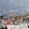 Jeanneau Sun Odyssey 479 | Murdock