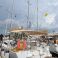 Jeanneau Sun Odyssey 479 | Murdock