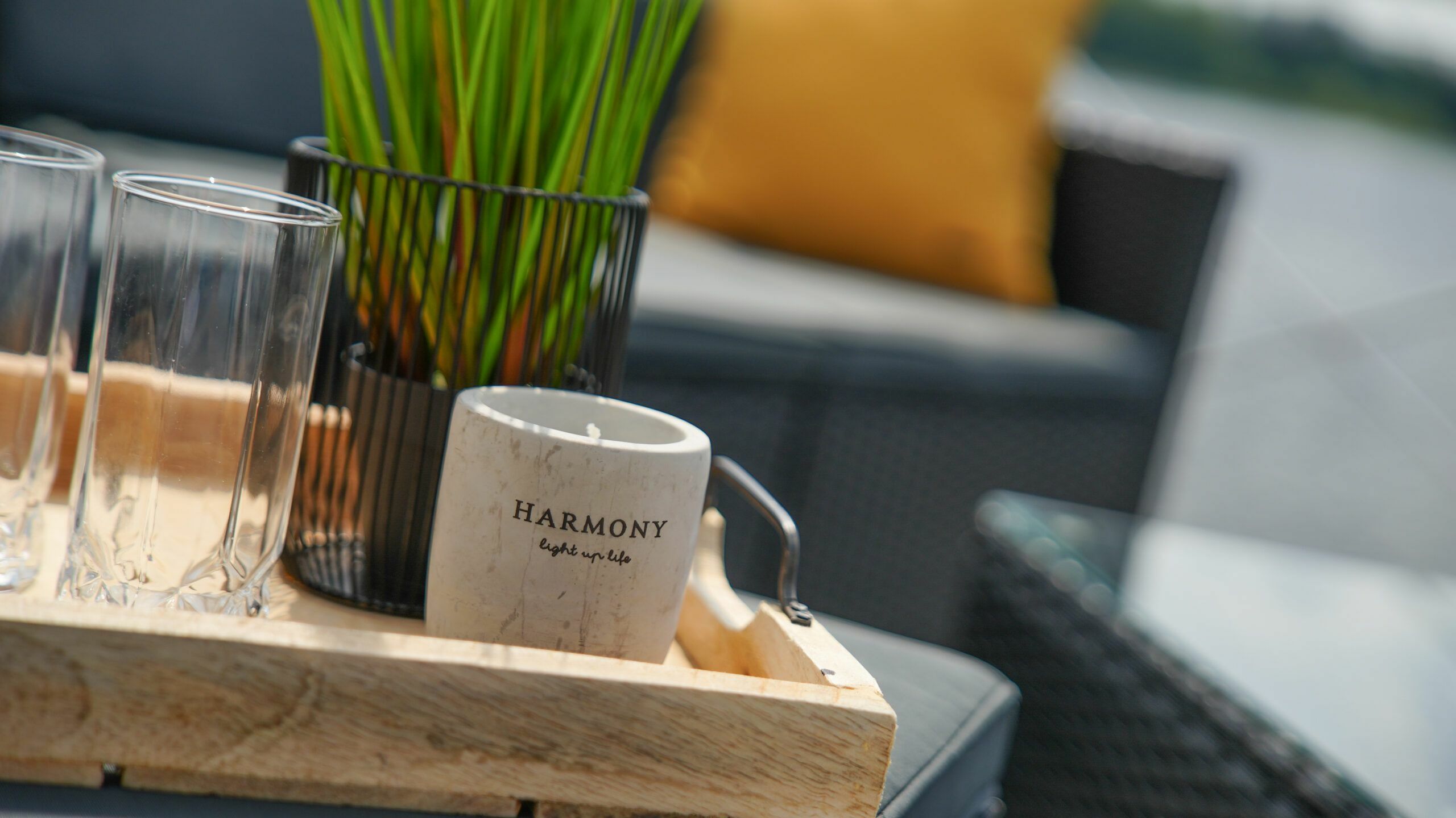 Rivo Campi 400 | Mika Sun