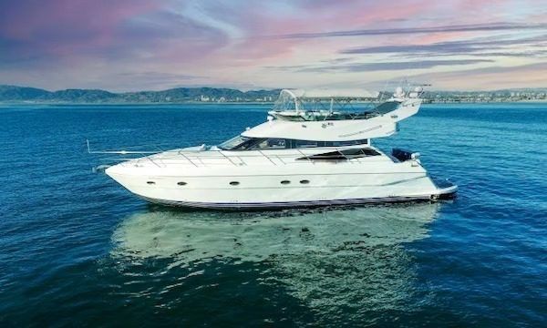 Neptunus 560 | Double Down