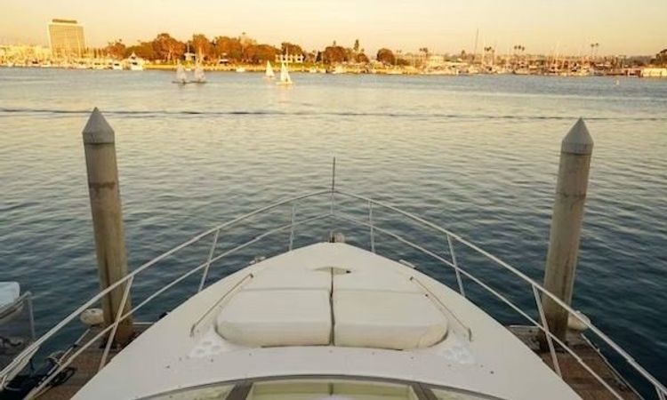 Neptunus 560 | Double Down