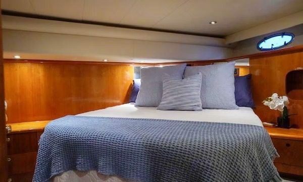 Neptunus 560 | Double Down