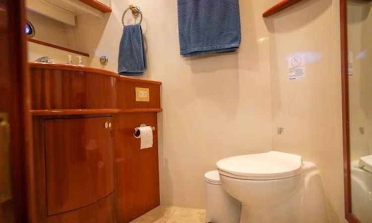 Neptunus 560 | Double Down