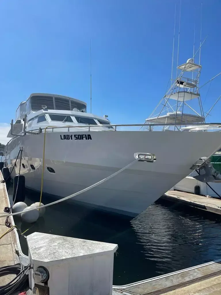 Maiora 100 | Lady Sofia