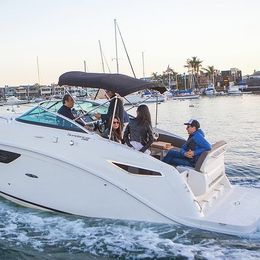 Sea Ray 260 | 15