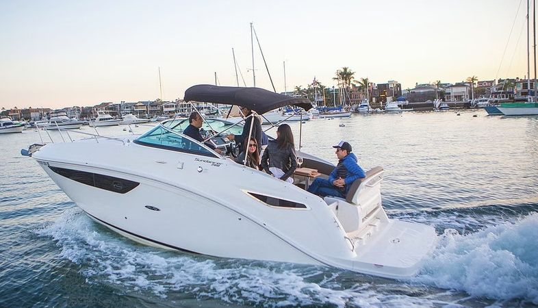 Sea Ray 260 | 15