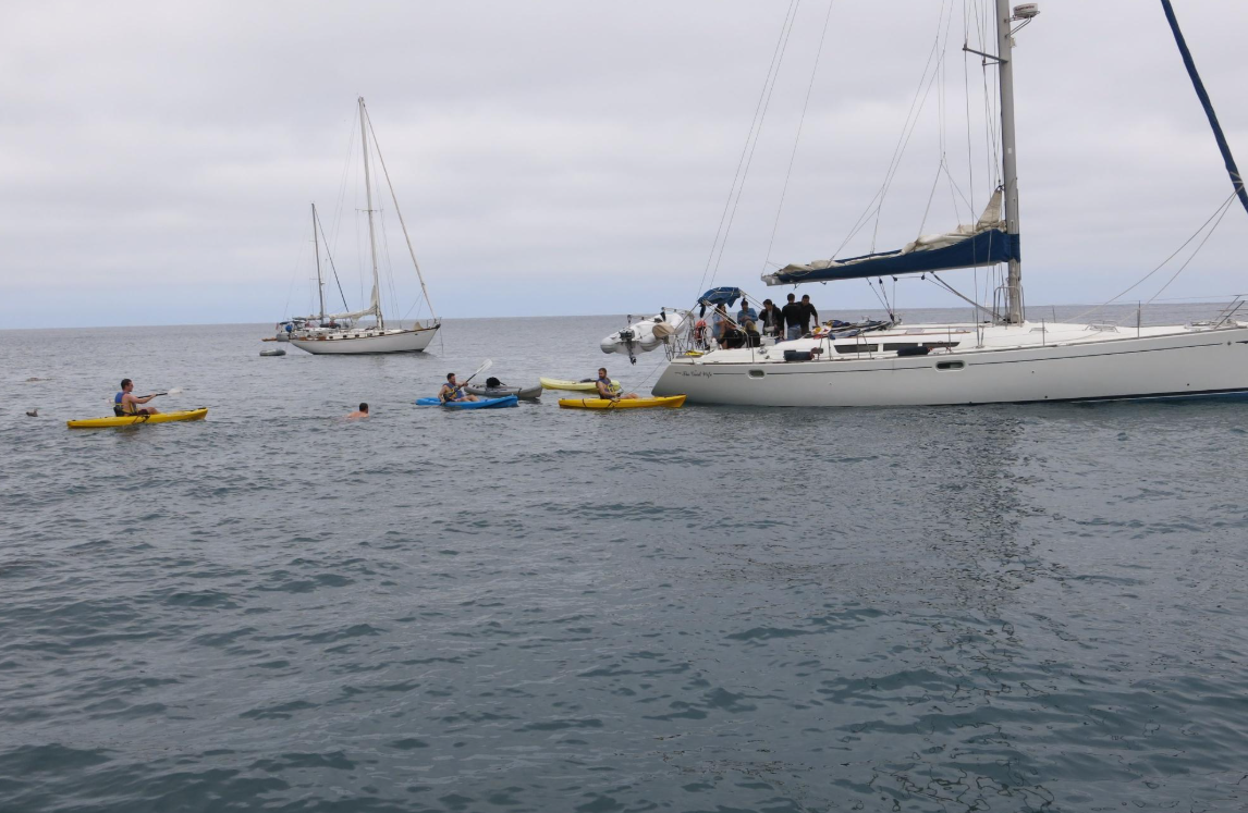 Jeanneau Sun Odyssey 49 | The Good Wife