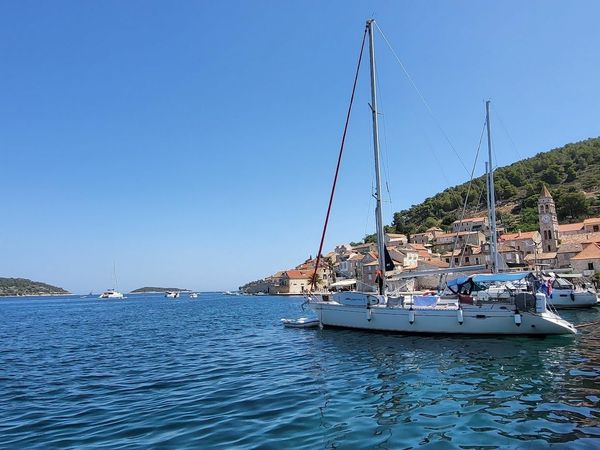 Elan 431 | Maslinovik