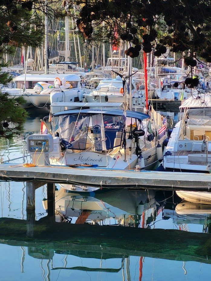 Elan 431 | Maslinovik