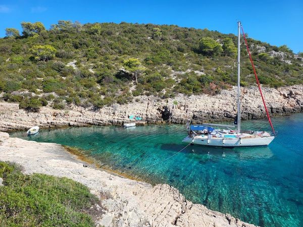 Elan 431 | Maslinovik