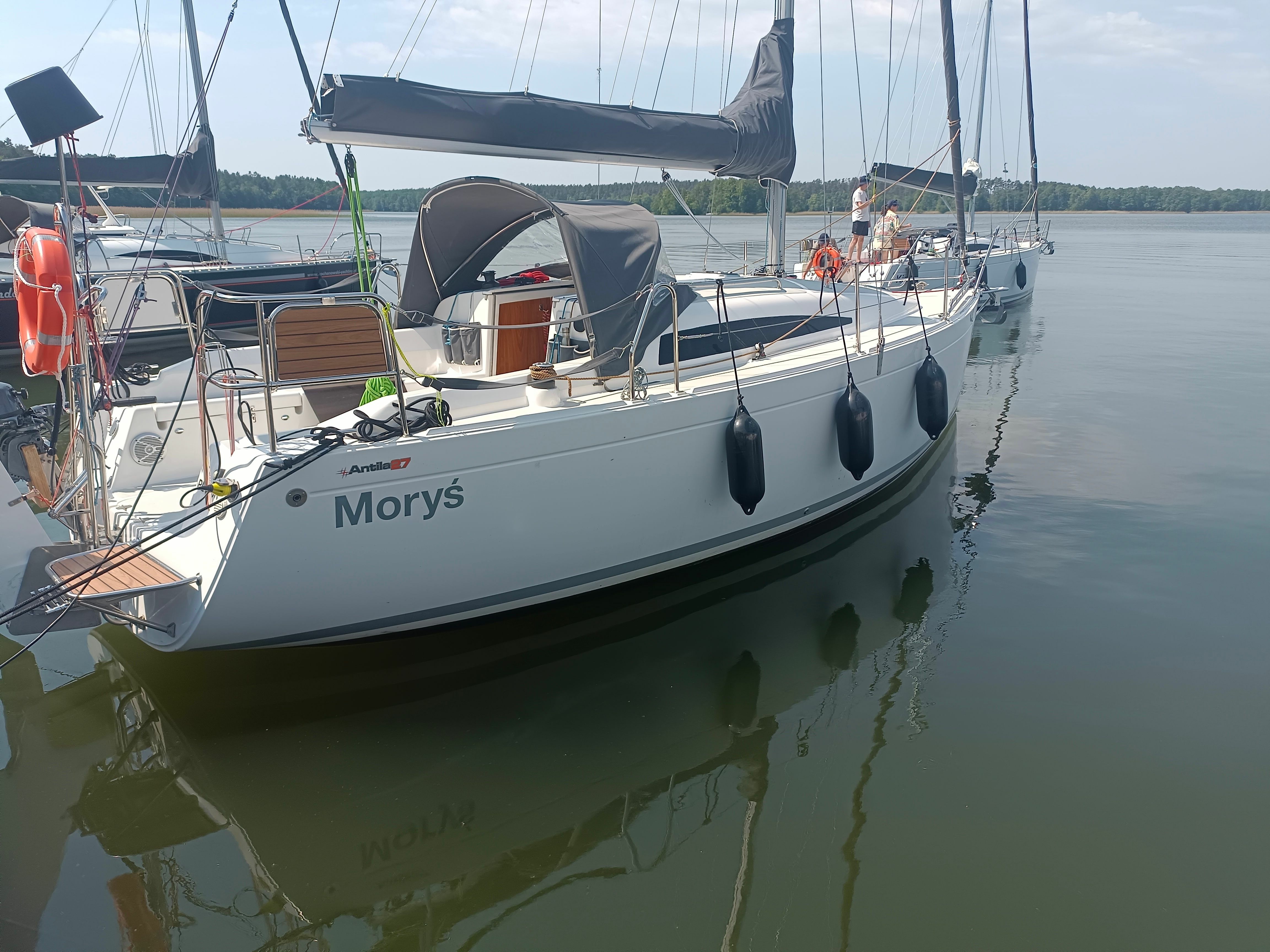 Antila 27 Family | Morys