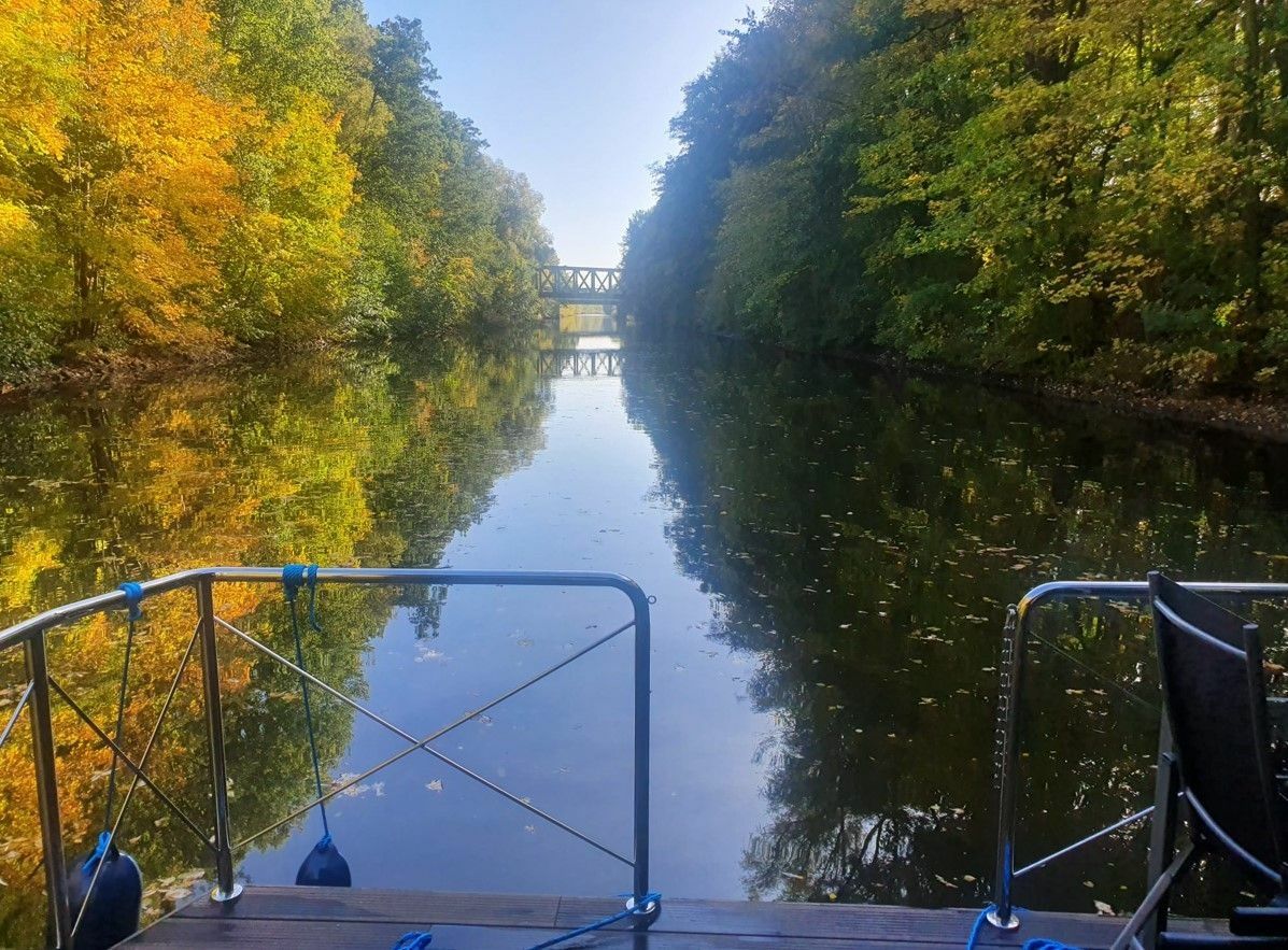 Rivo Campi 400 | Sunflower