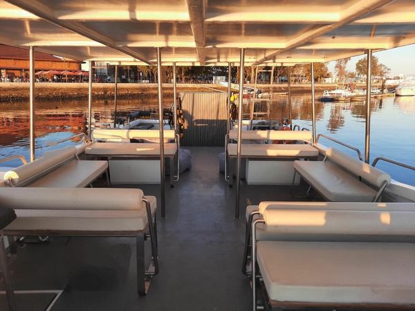 Nautiber Cat 12 | FantastikSpirit