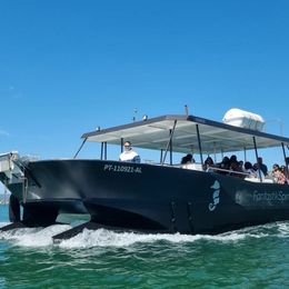 Nautiber Cat 12 | FantastikSpirit