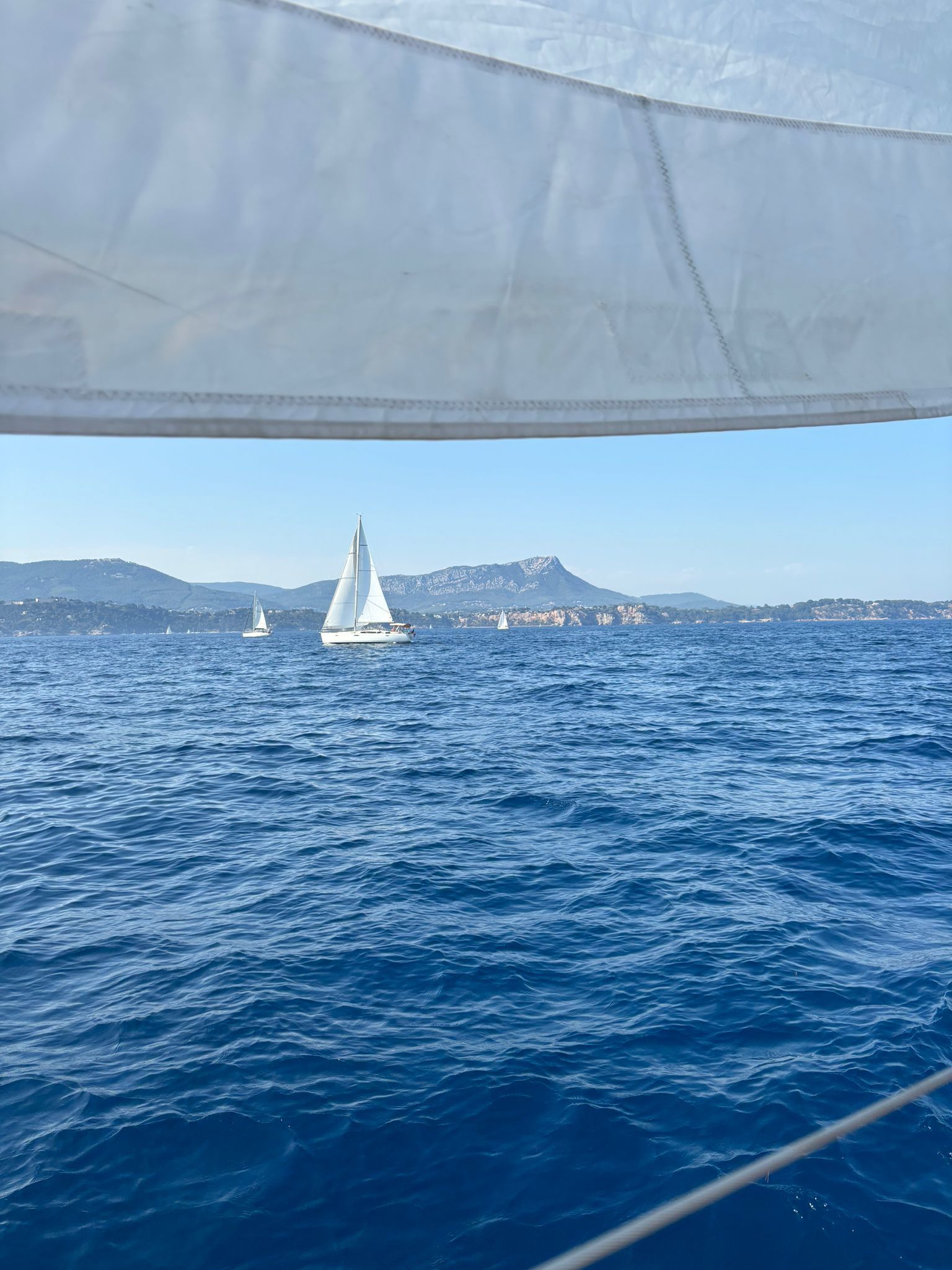 Beneteau Sense 51 | Louves des Mers