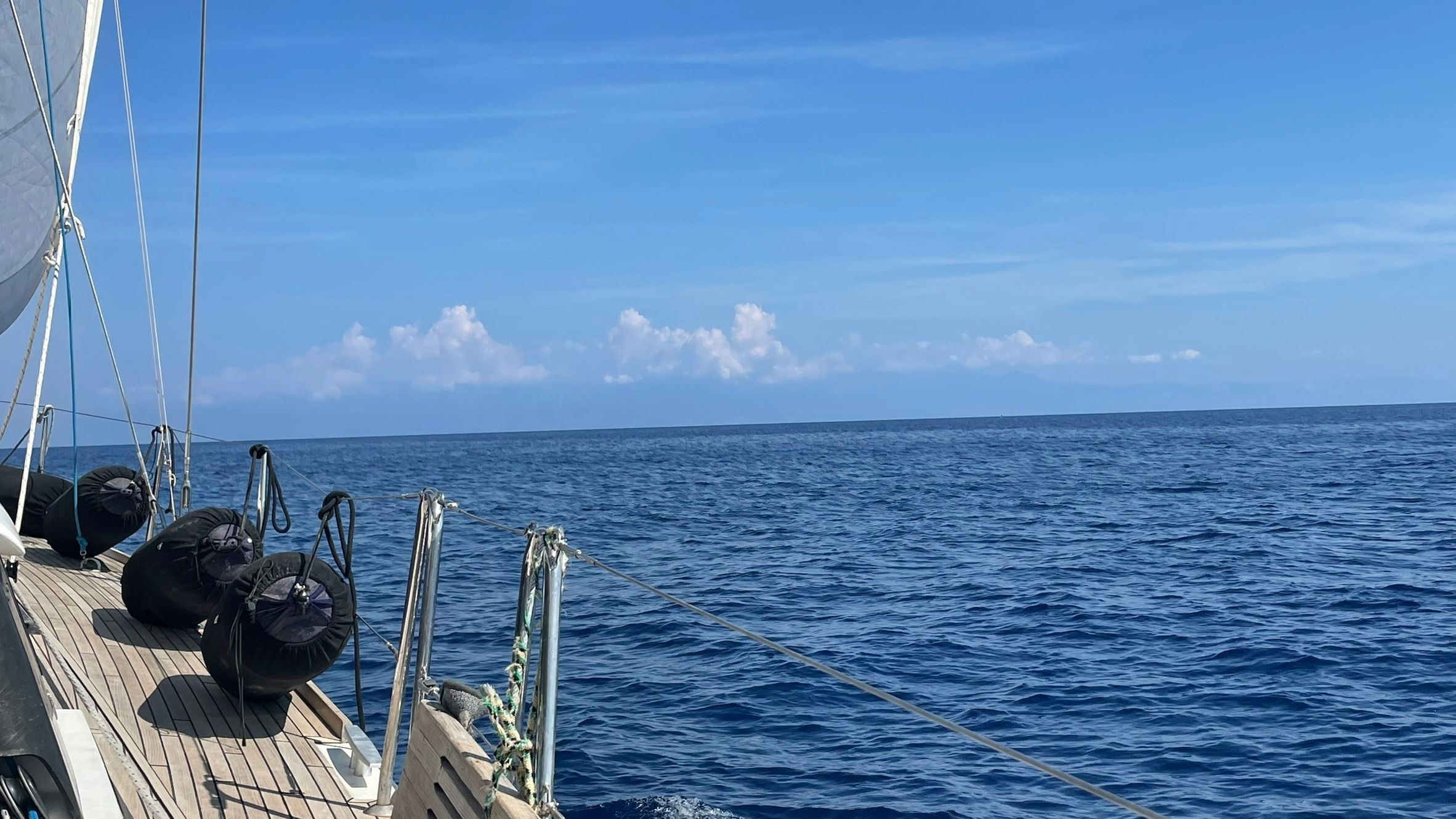 Beneteau Sense 51 | Louves des Mers