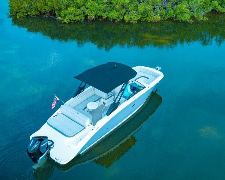 Sea Ray 250 | The Life