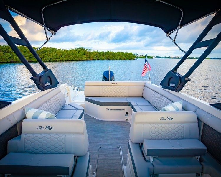 Sea Ray 250 | The Life