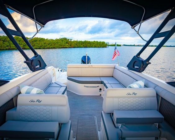 Sea Ray 250 | The Life