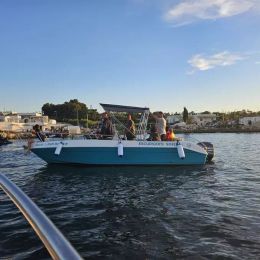 Marinello Eden 22 | Antonella 02N