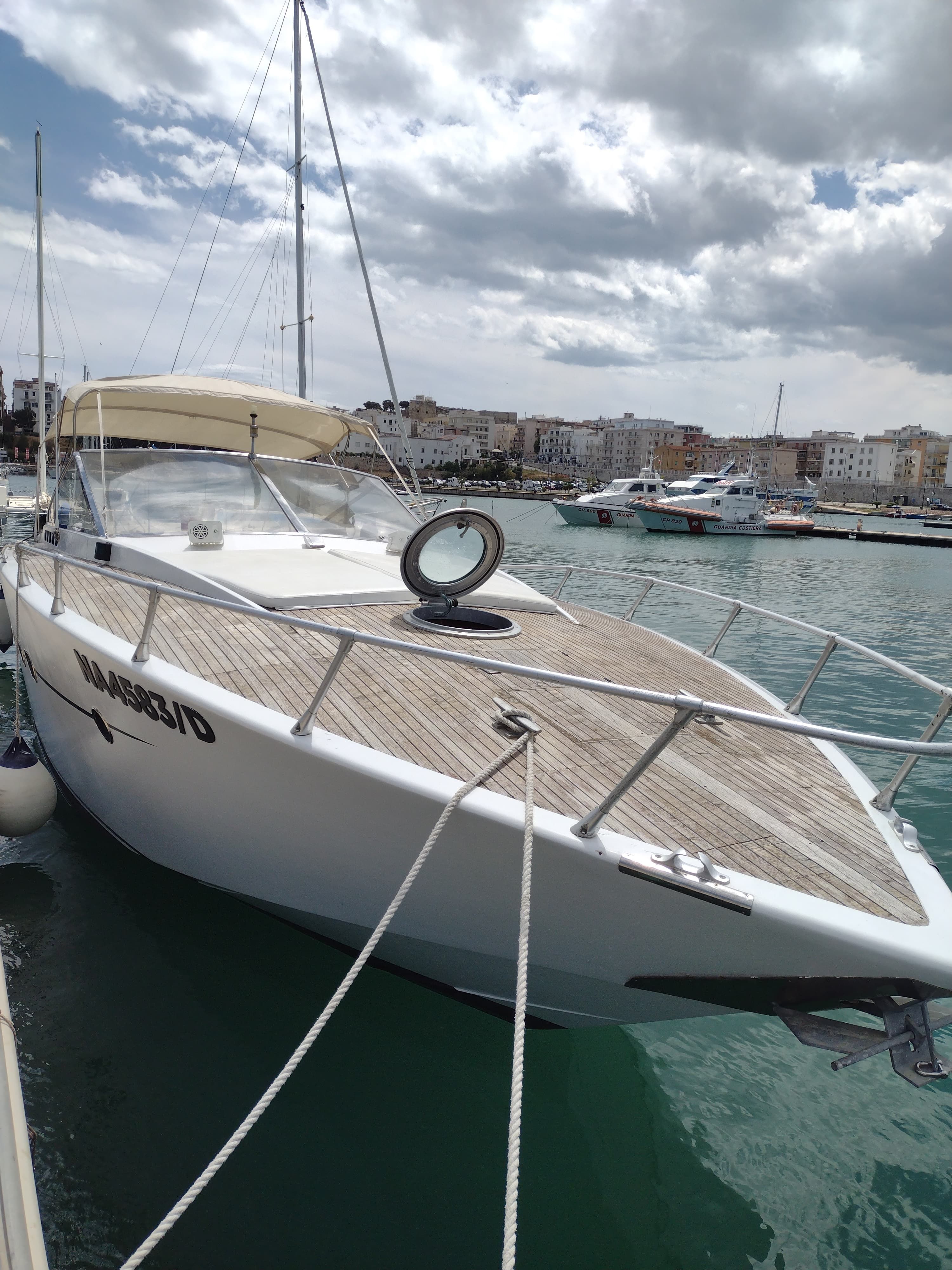 Squalo 36 | Albachiara