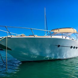 Squalo 36 | Albachiara