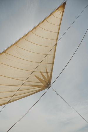 Custom Built 49 | Kymatia