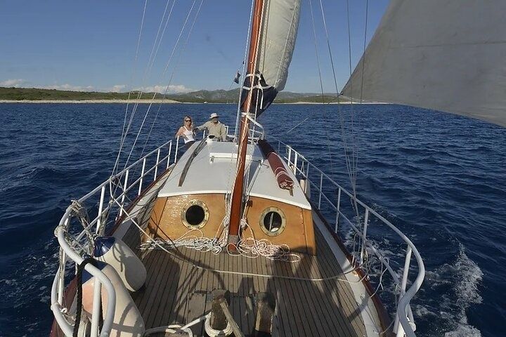 Custom Built 31 | Red Coral