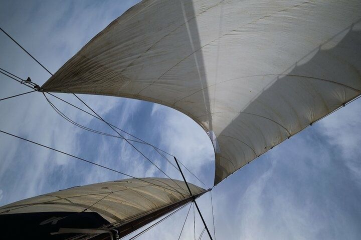 Custom Built 31 | Red Coral