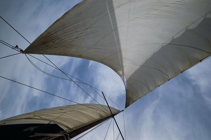 Custom Built 31 | Red Coral