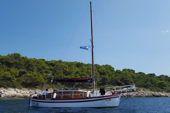 Custom Built 31 | Red Coral