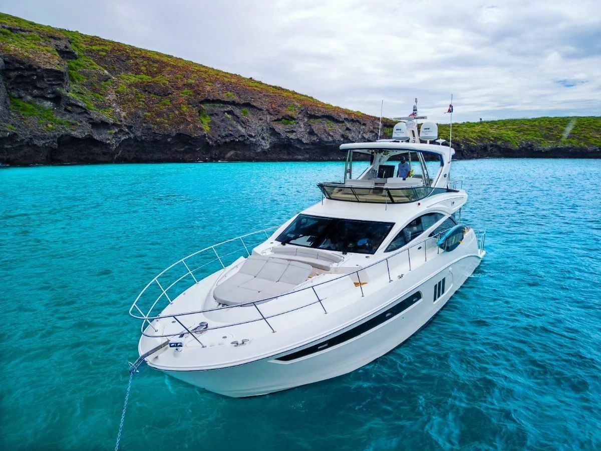 Sea Ray L590 Fly | SoleMare