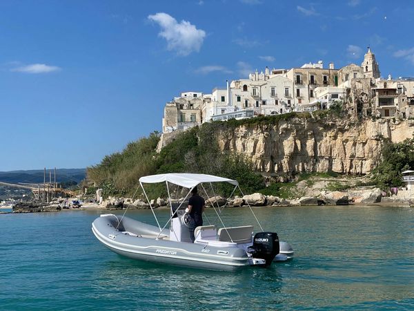Italboats Predator 540 | 3