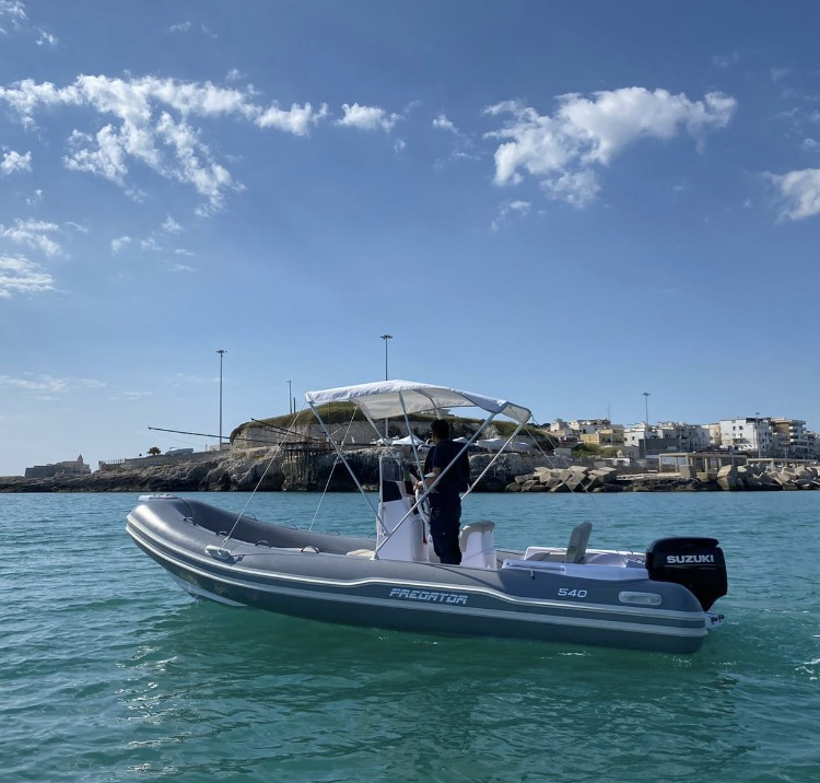 Italboats Predator 540 | 4