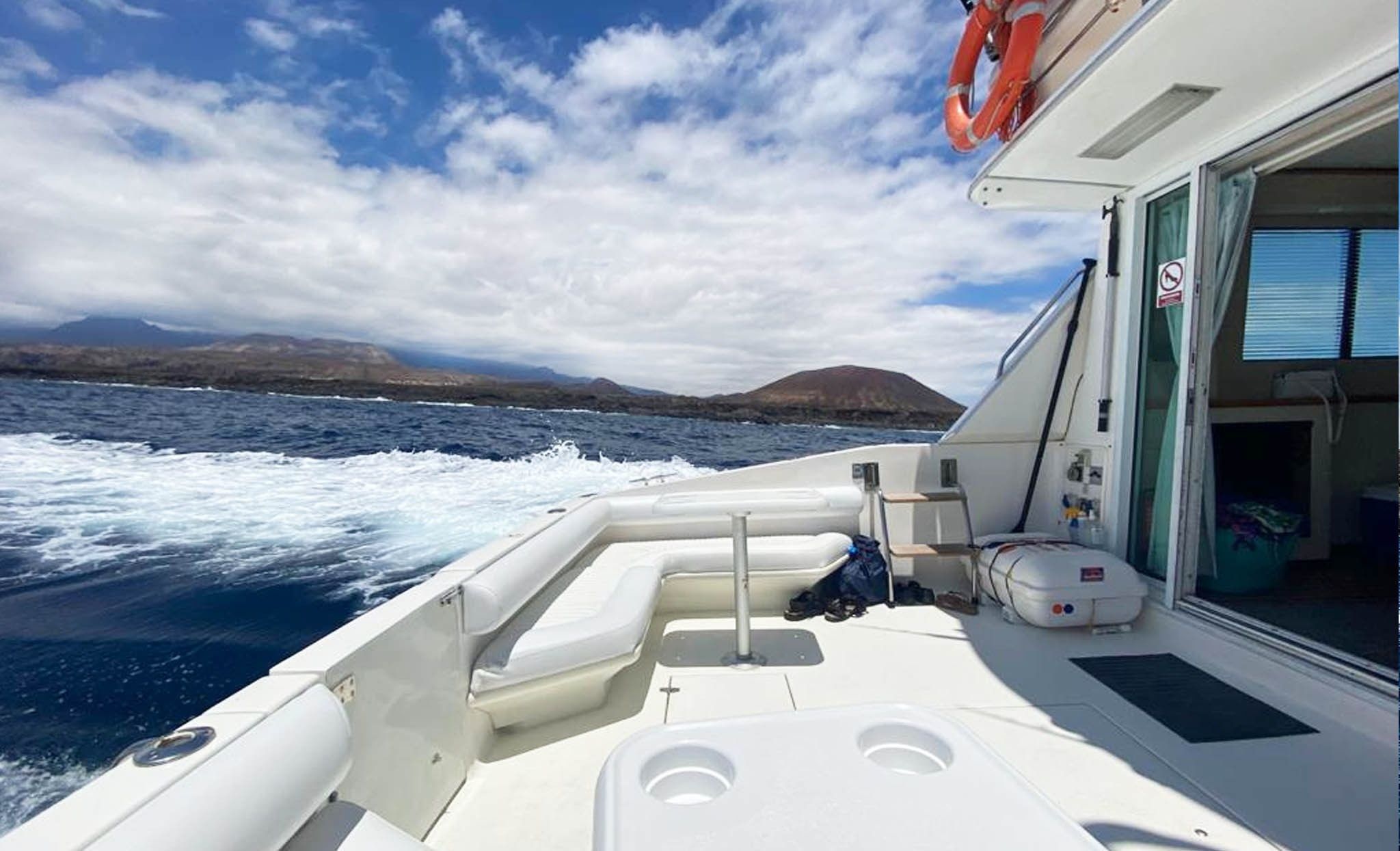 Sea Ray Sedane Bridge 400 | Mayantigo