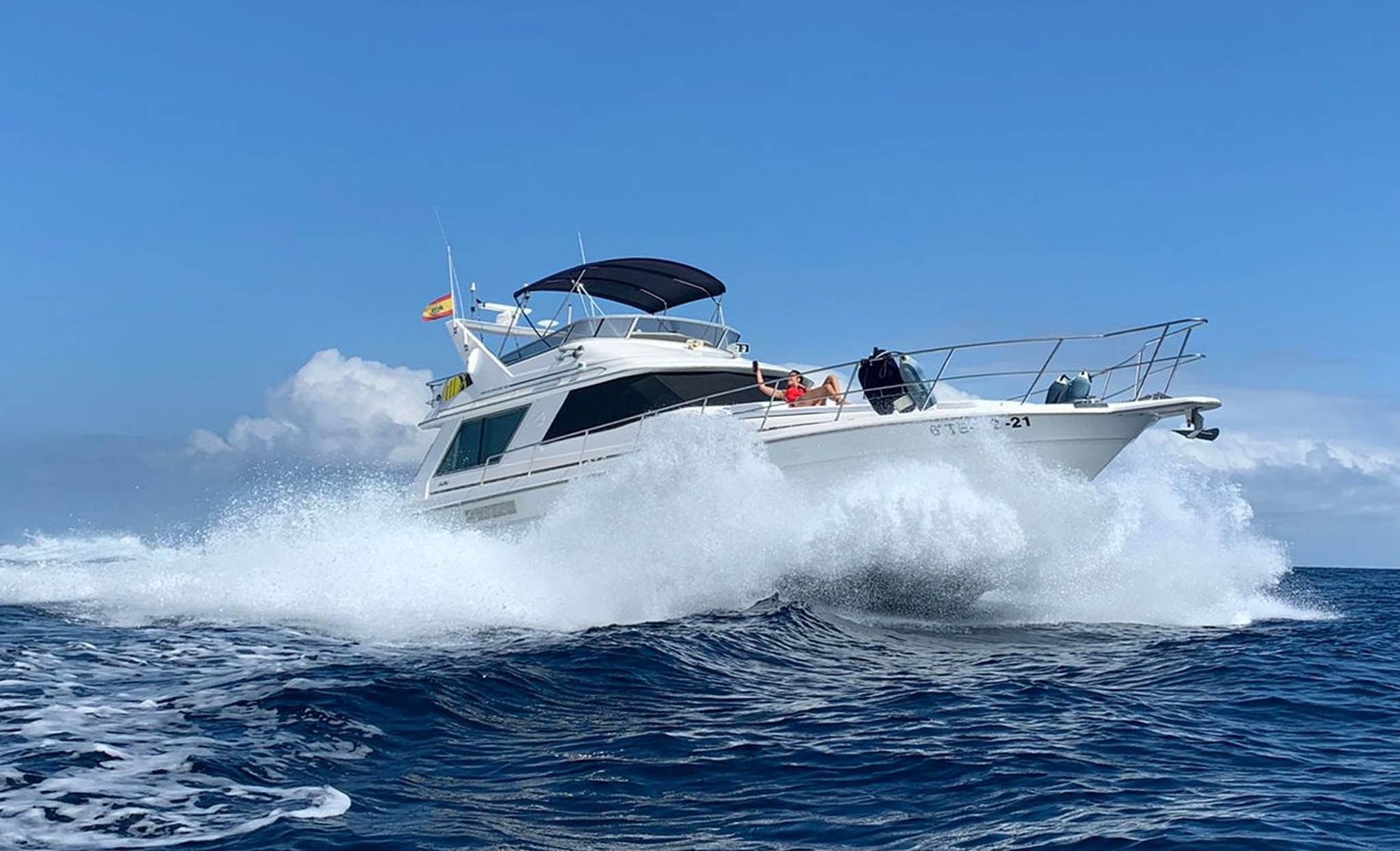Sea Ray Sedane Bridge 400 | Mayantigo