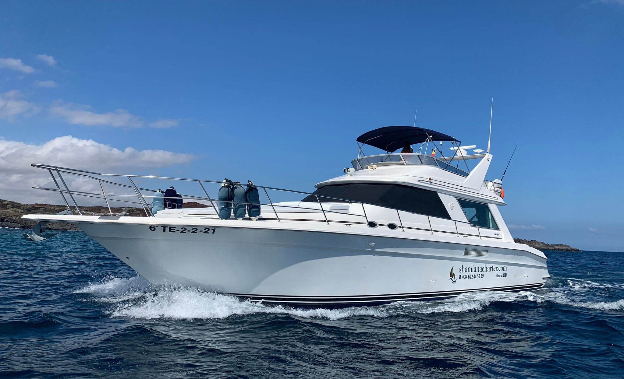 Sea Ray Sedane Bridge 400 | Mayantigo