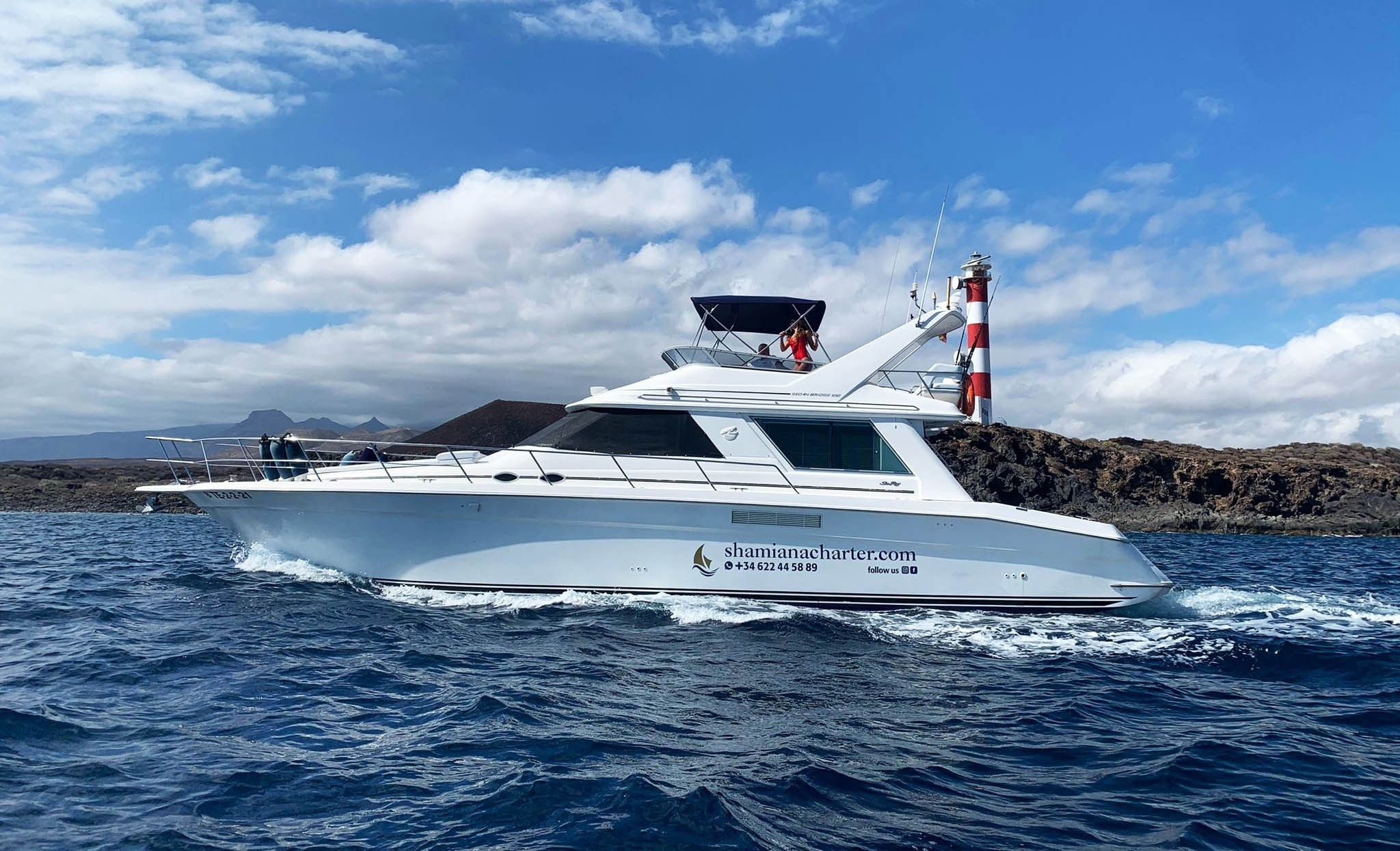 Sea Ray Sedane Bridge 400 | Mayantigo