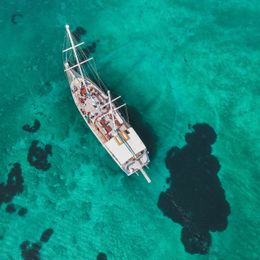 Custom Built 78 | Calypso A