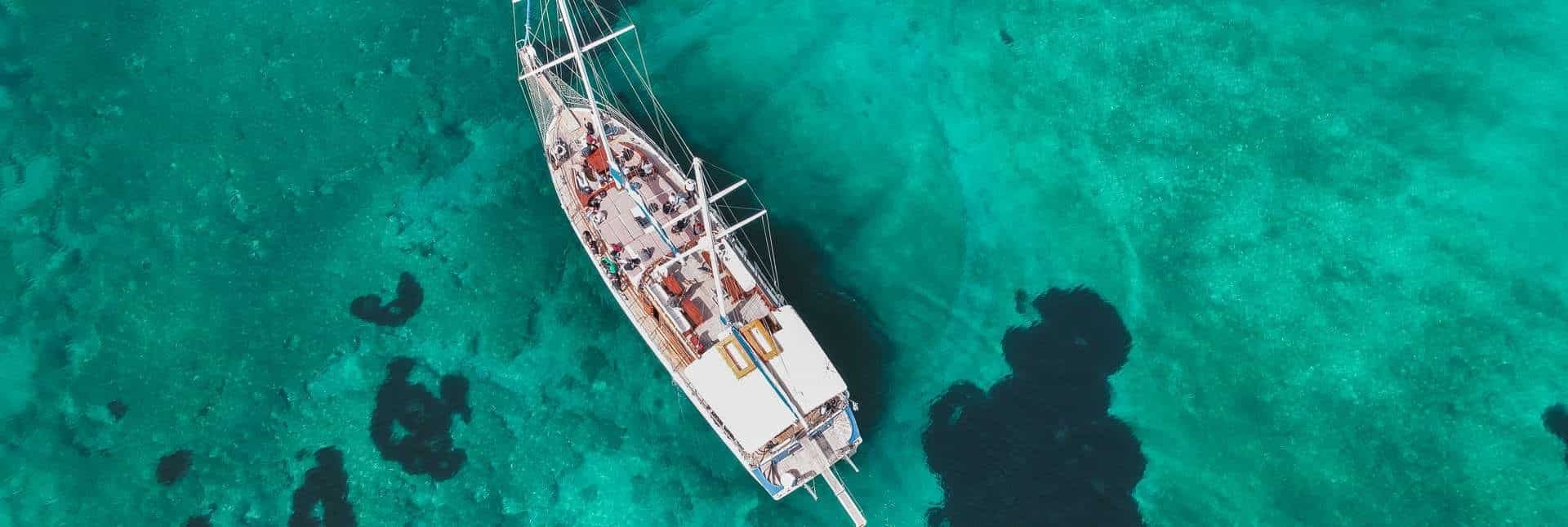 Custom Built 78 | Calypso A