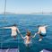 Bavaria 49 | Julia Tercer