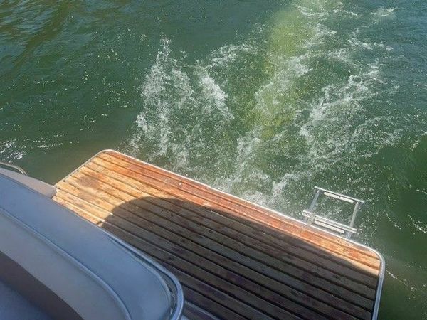 Stingray 729 | Pulp Fiction