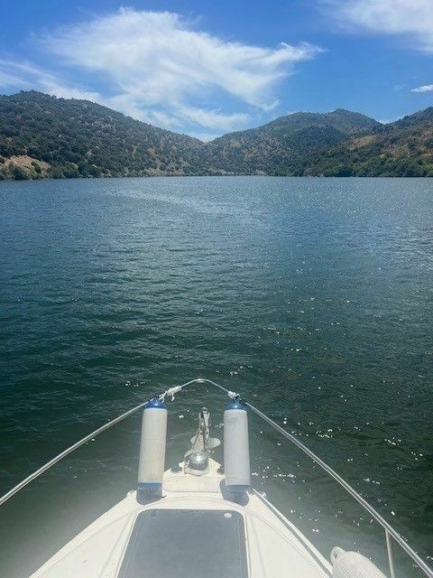 Stingray 729 | Pulp Fiction