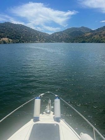 Stingray 729 | Pulp Fiction