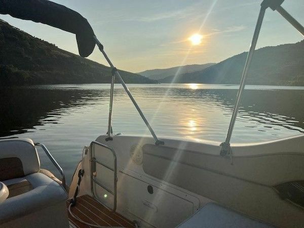 Stingray 729 | Pulp Fiction