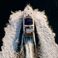 Fairline 41 | 00
