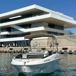 Remus 525 SC | Hawai