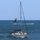 Beneteau 393 | Olian