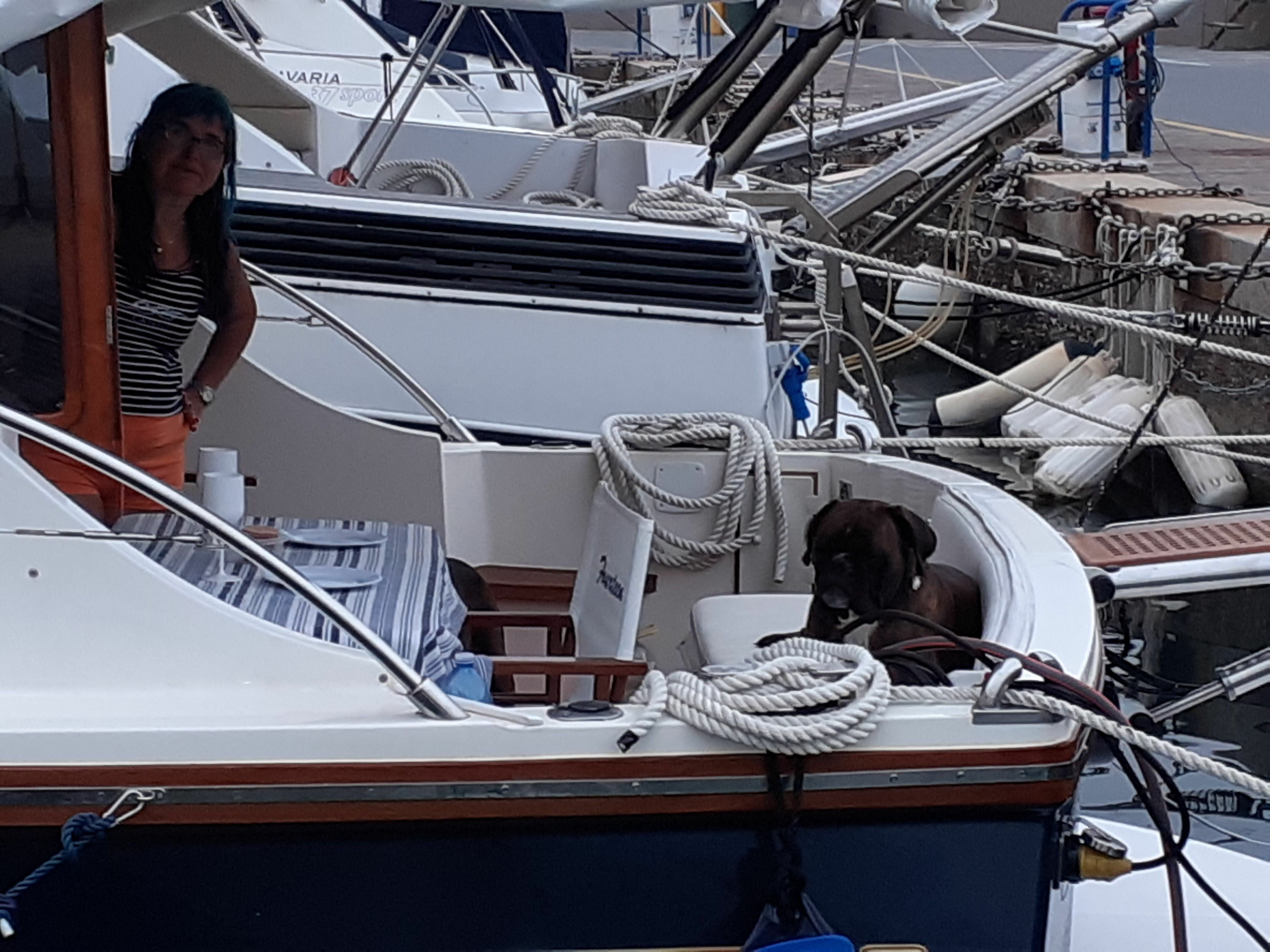 Cantieri Estensi Goldstar 360 | Fourteen